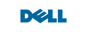 Dell technology partner